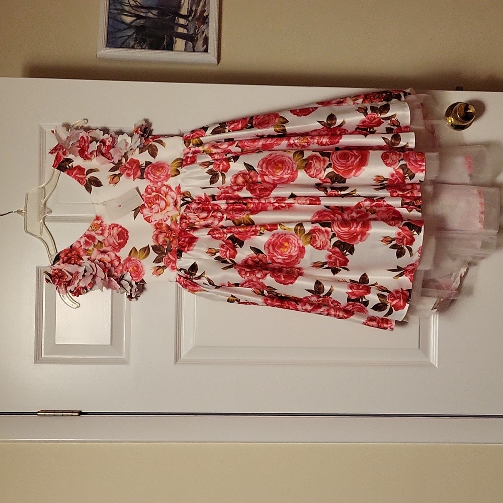 🆕️Just couture floral dress, size 10